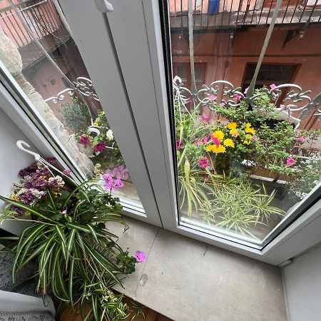 Apartment In The City Center Mini Ivano-Frankivsk Exterior photo