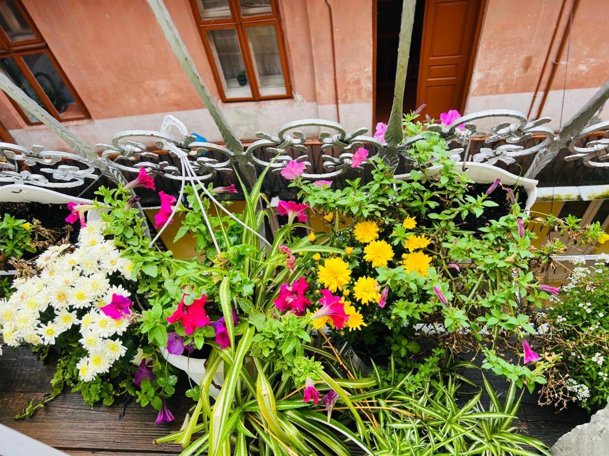 Apartment In The City Center Mini Ivano-Frankivsk Exterior photo